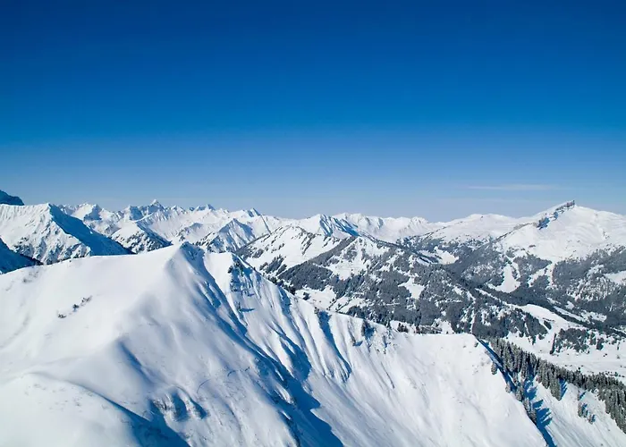 Hotel Garni Haberstock Mittelberg